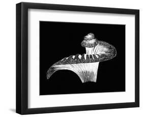 Cochlea-Mehau Kulyk-Framed Photographic Print