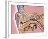 Cochlear Implant, Artwork-John Bavosi-Framed Photographic Print