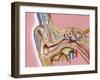 Cochlear Implant, Artwork-John Bavosi-Framed Photographic Print