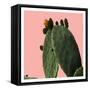 Cochoneal-Sheldon Lewis-Framed Stretched Canvas