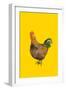 Cock, 2008-Sarah Thompson-Engels-Framed Premium Giclee Print