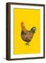 Cock, 2008-Sarah Thompson-Engels-Framed Giclee Print