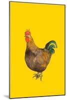 Cock, 2008-Sarah Thompson-Engels-Mounted Giclee Print