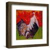 Cock-A-Doodle-null-Framed Art Print