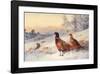 Cock and Hen Pheasant in Snow-Archibald Thorburn-Framed Art Print