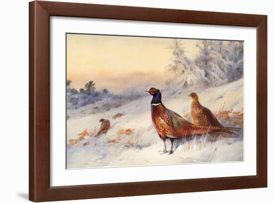 Cock and Hen Pheasant in Snow-Archibald Thorburn-Framed Art Print