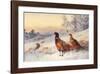 Cock and Hen Pheasant in Snow-Archibald Thorburn-Framed Art Print