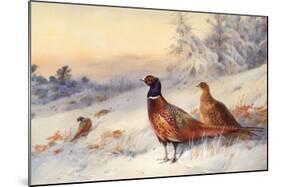Cock and Hen Pheasant in Snow-Archibald Thorburn-Mounted Art Print