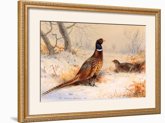 Cock and Hen Pheasant-Archibald Thorburn-Framed Art Print