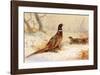 Cock and Hen Pheasant-Archibald Thorburn-Framed Premium Giclee Print