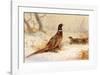 Cock and Hen Pheasant-Archibald Thorburn-Framed Premium Giclee Print