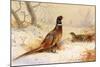 Cock and Hen Pheasant-Archibald Thorburn-Mounted Premium Giclee Print