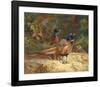 Cock and Hen Pheasants in the Woodlands-Archibald Thorburn-Framed Premium Giclee Print