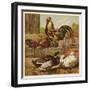 Cock and Hen Watch as Ducks Waddle by in a Farmyard-null-Framed Art Print