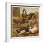 Cock and Hen Watch as Ducks Waddle by in a Farmyard-null-Framed Art Print