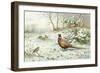 Cock Pheasant and Chaffinch-Carl Donner-Framed Giclee Print