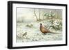 Cock Pheasant and Chaffinch-Carl Donner-Framed Giclee Print