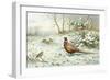 Cock Pheasant and Chaffinch-Carl Donner-Framed Giclee Print