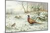 Cock Pheasant and Chaffinch-Carl Donner-Mounted Giclee Print