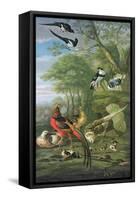 Cock Pheasant, Hen Pheasant and Chicks and Other Birds in a Classical Landscape-Pieter Casteels-Framed Stretched Canvas