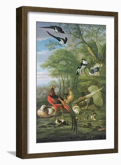 Cock Pheasant, Hen Pheasant and Chicks and Other Birds in a Classical Landscape-Pieter Casteels-Framed Giclee Print