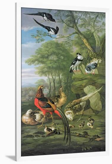 Cock Pheasant, Hen Pheasant and Chicks and Other Birds in a Classical Landscape-Pieter Casteels-Framed Giclee Print