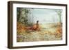 Cock Pheasant-Carl Donner-Framed Giclee Print