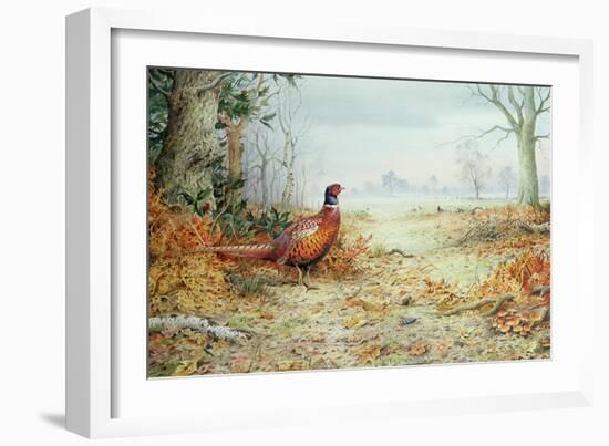 Cock Pheasant-Carl Donner-Framed Giclee Print