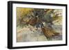 Cock Pheasants under a Beech Tree-Frank Southgate-Framed Giclee Print