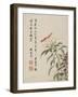 Cock'S-Comb from a Flower Album of Ten Leaves, 1656-Shengmo Xiang-Framed Giclee Print