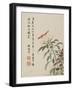 Cock'S-Comb from a Flower Album of Ten Leaves, 1656-Shengmo Xiang-Framed Giclee Print