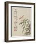 Cock'S-Comb from a Flower Album of Ten Leaves, 1656-Shengmo Xiang-Framed Giclee Print