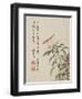 Cock'S-Comb from a Flower Album of Ten Leaves, 1656-Shengmo Xiang-Framed Giclee Print