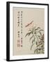 Cock'S-Comb from a Flower Album of Ten Leaves, 1656-Shengmo Xiang-Framed Giclee Print