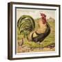 Cock-English School-Framed Giclee Print