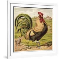 Cock-English School-Framed Giclee Print