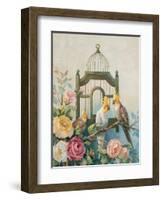 Cockatiel and Roses-unknown Johnston-Framed Art Print