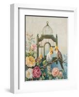 Cockatiel and Roses-unknown Johnston-Framed Art Print