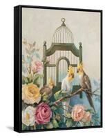 Cockatiel and Roses-unknown Johnston-Framed Stretched Canvas