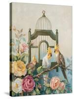 Cockatiel and Roses-unknown Johnston-Stretched Canvas