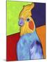 Cockatiel-Corina St. Martin-Mounted Giclee Print