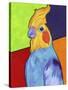 Cockatiel-Corina St. Martin-Stretched Canvas