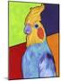 Cockatiel-Corina St. Martin-Mounted Giclee Print