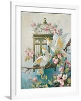 Cockatoo and Blossoms-unknown Johnston-Framed Art Print