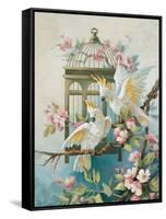 Cockatoo and Blossoms-unknown Johnston-Framed Stretched Canvas