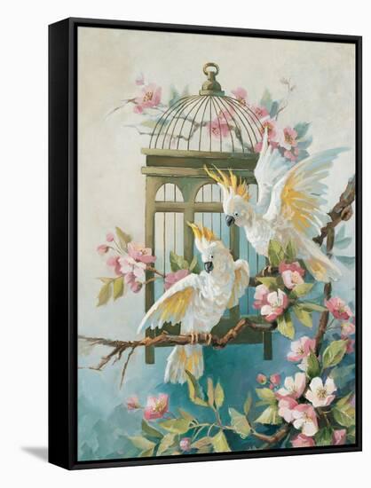 Cockatoo and Blossoms-unknown Johnston-Framed Stretched Canvas