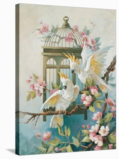 Cockatoo and Blossoms-unknown Johnston-Stretched Canvas