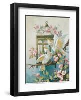 Cockatoo and Blossoms-unknown Johnston-Framed Art Print