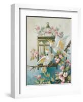 Cockatoo and Blossoms-unknown Johnston-Framed Art Print