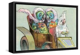 Cockatoo Driving Parrots-null-Framed Stretched Canvas